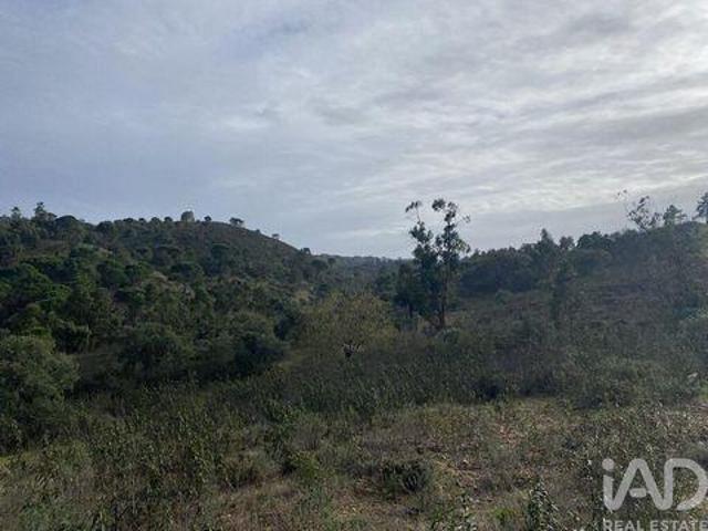 Terrenos Sao Bras De Alportel Faro DS98686092