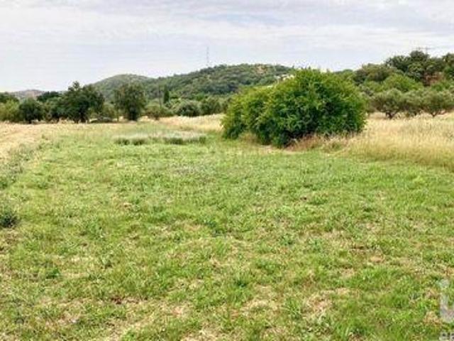 Terrenos Sao Bras De Alportel Faro DS99571488