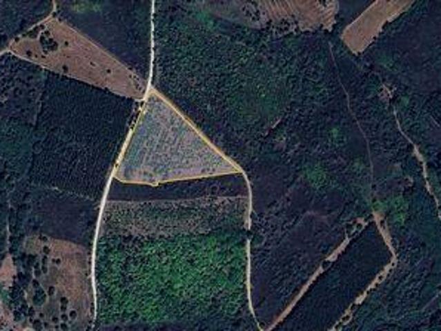 Terrenos Sabugal Guarda DLS98476599