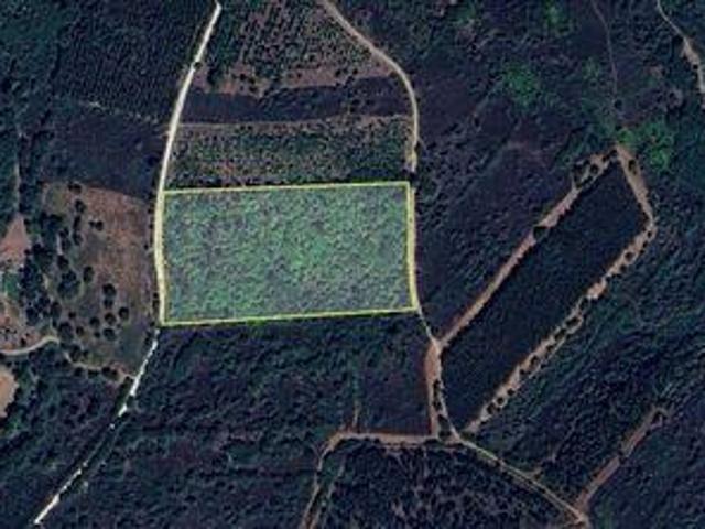 Terrenos Sabugal Guarda DS98337931