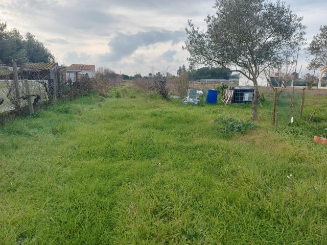 Terrenos Salvaterra de Magos Santarém DS86223448