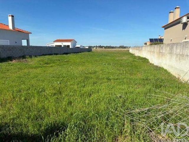 Terrenos Salvaterra De Magos Santarem DS99608010
