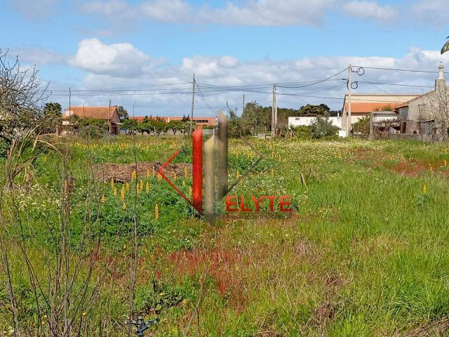 Terrenos Salvaterra de Magos Santarém 2120 066 DS82380769