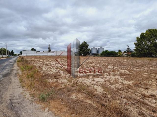 Terrenos Salvaterra de Magos Santarém 2120 180 DS82380821