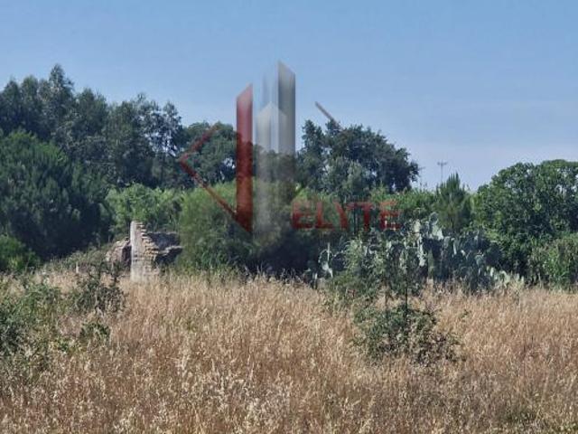 Terrenos Salvaterra de Magos Santarém 2125 000 DS82380796