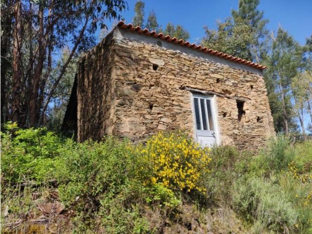 Terrenos Sardoal Sardoal DLS95265659
