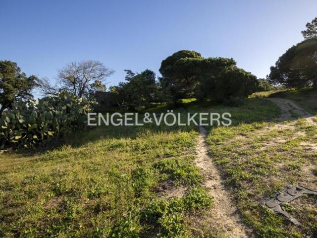 Terrenos Seixal Seixal DLS101074362
