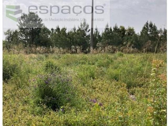 Terrenos Seixal Seixal DLS102001097