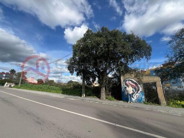 Terrenos Seixal Seixal DS87421012
