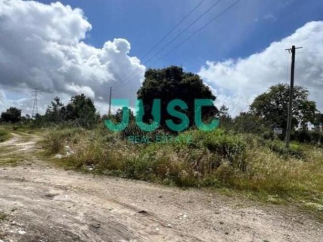 Terrenos Seixal Seixal DS90286522