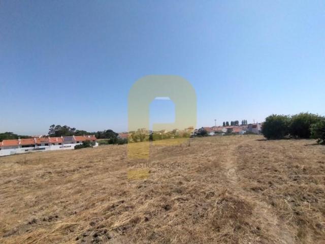 Terrenos Seixal Seixal DS96067434