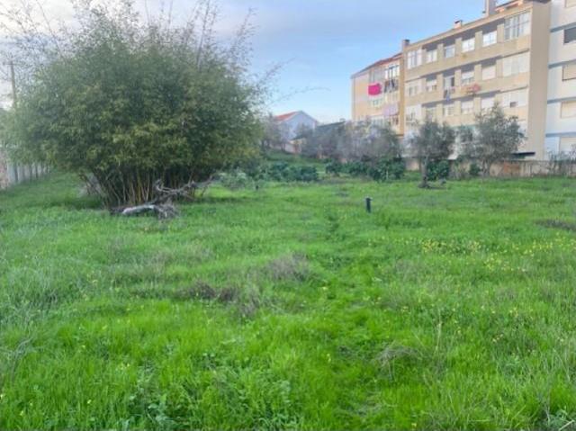Terrenos Seixal Seixal DS97275459