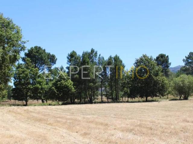 Terrenos Seia Guarda DLS91598547