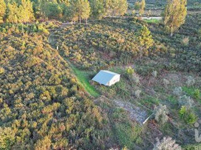 Terrenos Seia Guarda DS98151050
