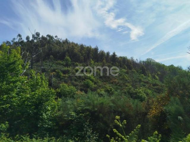 Terrenos Seia Seia DS91168489