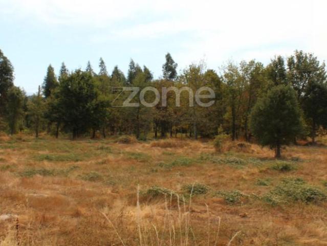 Terrenos Seia Seia DS94929818