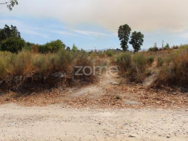 Terrenos Seia Seia DS96433802