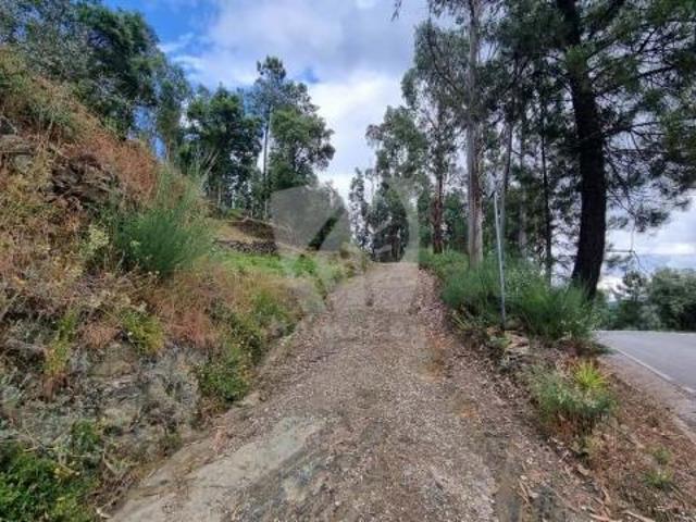 Terrenos Sertã Castelo Branco DS83993714