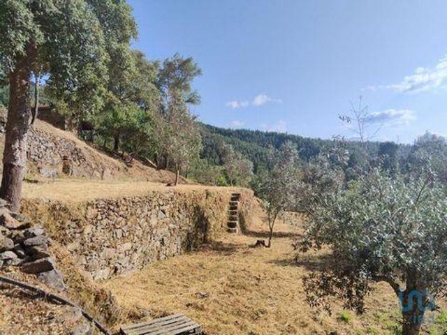 Terrenos Sertã Castelo Branco 6100 514 DS92435653