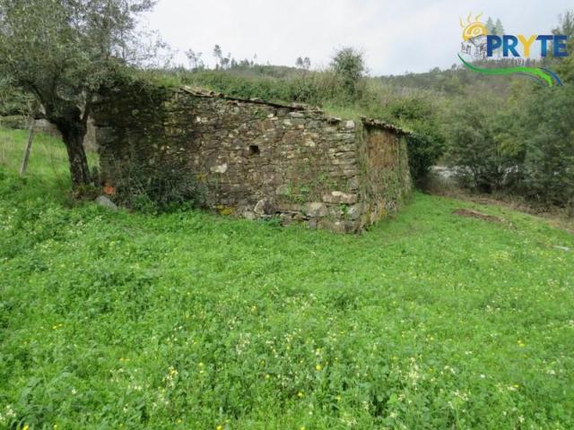 Terrenos Sertã Sertã DLS99051010