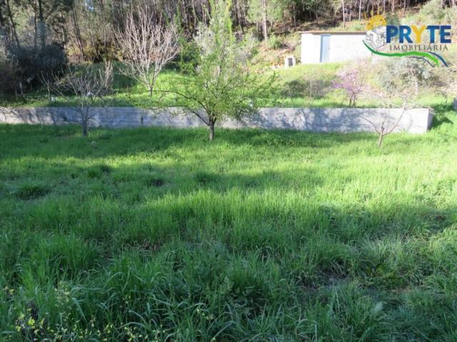 Terrenos Sertã Sertã DS89232735
