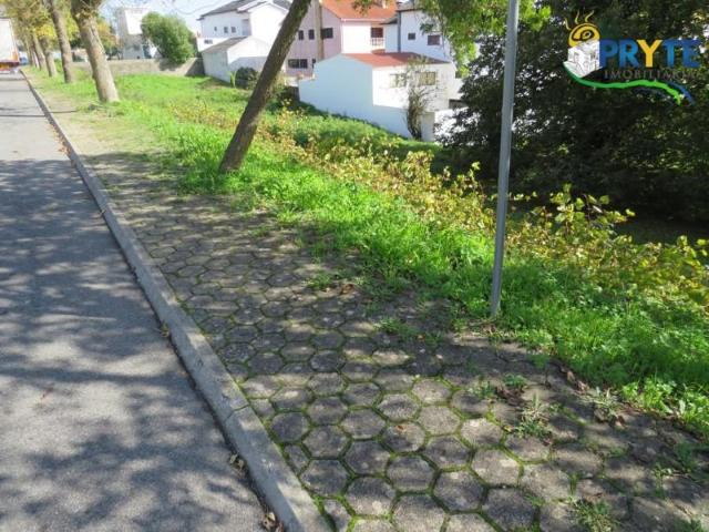 Terrenos Sertã Sertã DS97119008