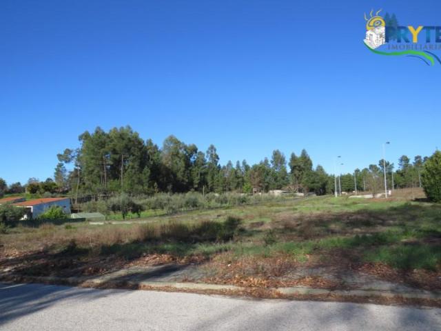 Terrenos Sertã Sertã DS99064048