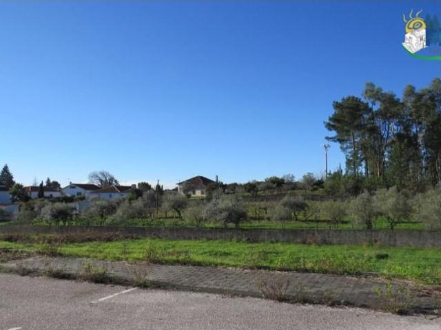 Terrenos Sertã Sertã DS99139338