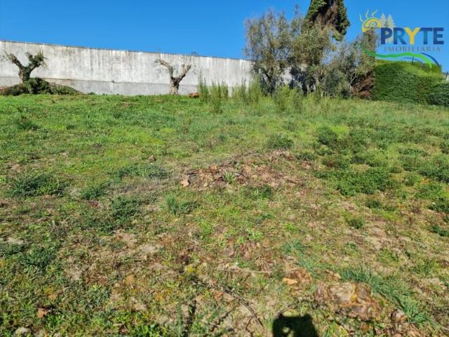 Terrenos Sertã Sertã DS99310886