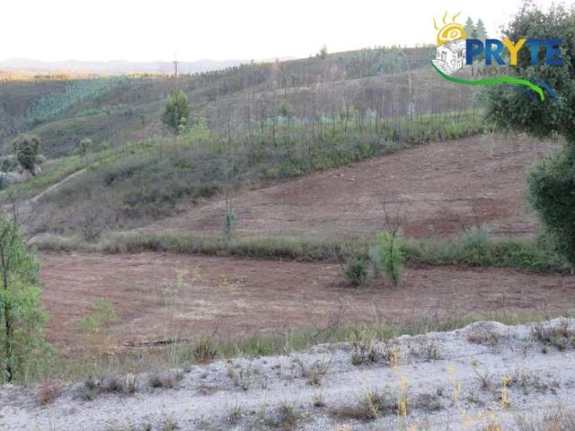 Terrenos Sertã Sertã DS101582989