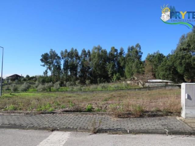 Terrenos Sertã Sertã DS101293544