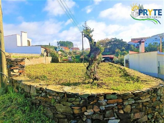Terrenos Sertã Sertã DS101390721