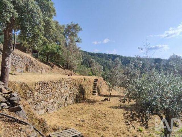 Terrenos Serta Castelo Branco DLS92435653