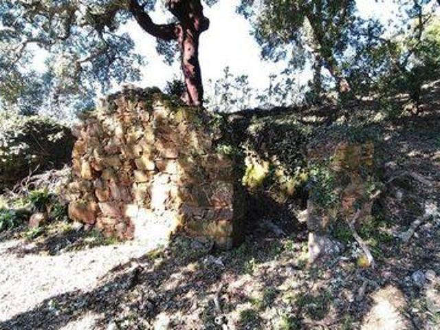 Terrenos Serta Castelo Branco DLS99485909