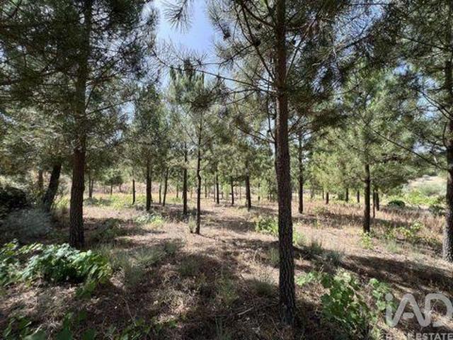 Terrenos Sernancelhe Viseu DLS94009873