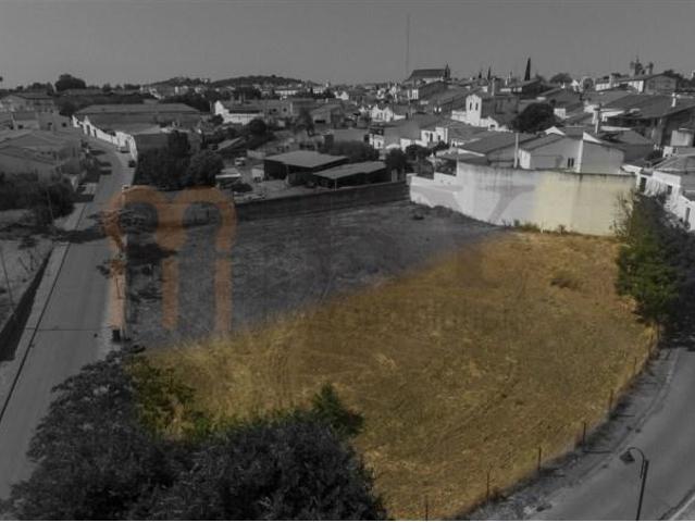Terrenos Serpa Serpa DLS92831507