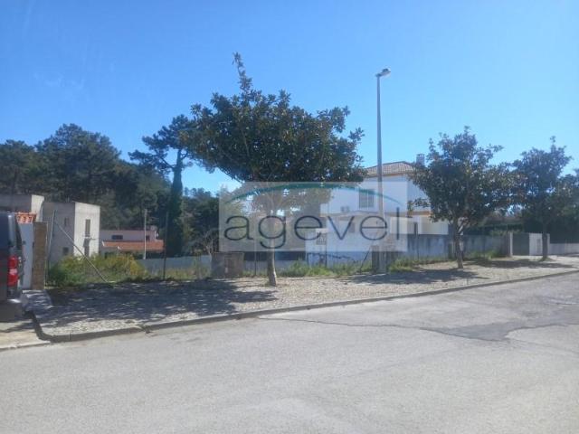Terrenos Sesimbra Sesimbra 2970 DS98688199