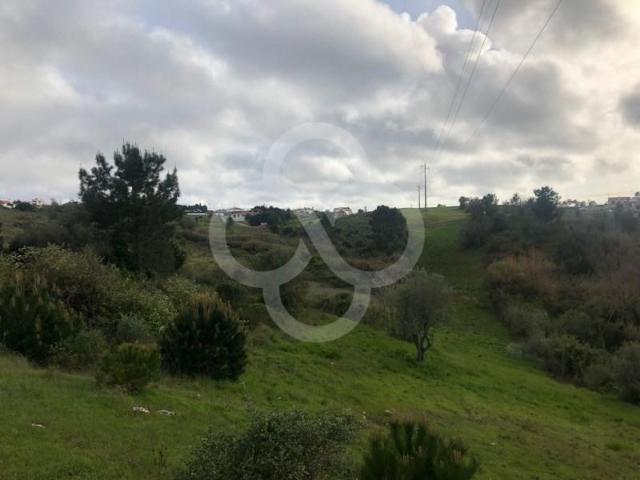 Terrenos Sesimbra Sesimbra 2970 208 DLS89673598