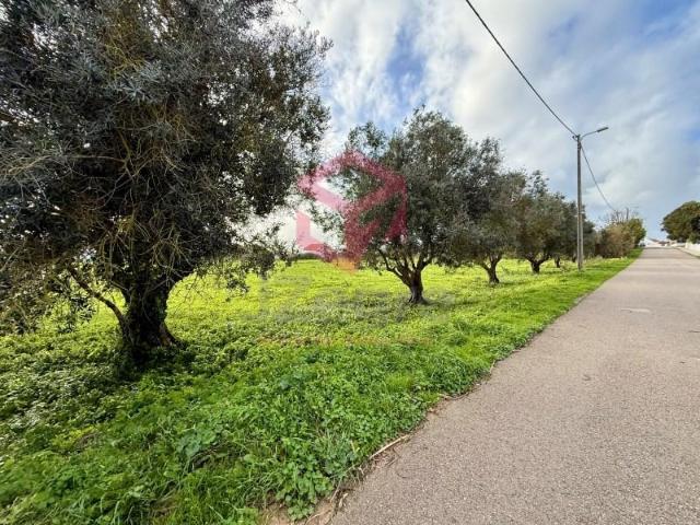 Terrenos Sesimbra Sesimbra DLS91081526