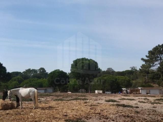 Terrenos Sesimbra Sesimbra DLS95416996