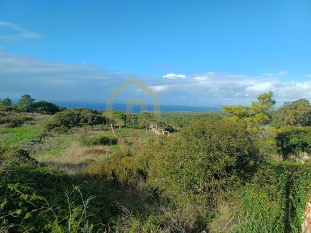 Terrenos Sesimbra Sesimbra DLS97351370