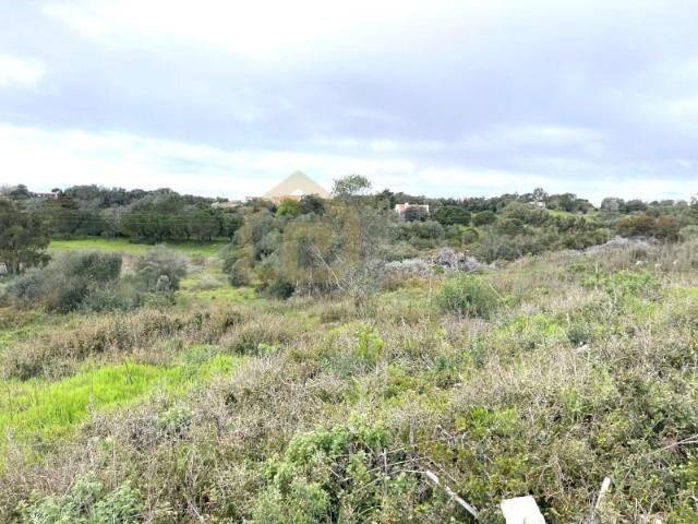Terrenos Sesimbra Sesimbra DLS100126700