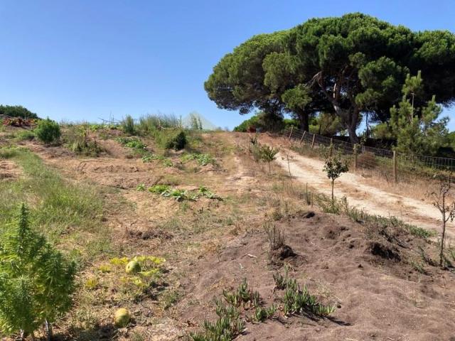 Terrenos Sesimbra Sesimbra DLS101871875