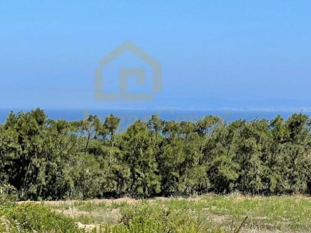 Terrenos Sesimbra Sesimbra DS101035347