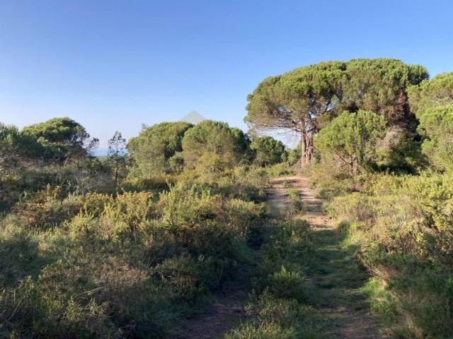 Terrenos Sesimbra Sesimbra DS101634875