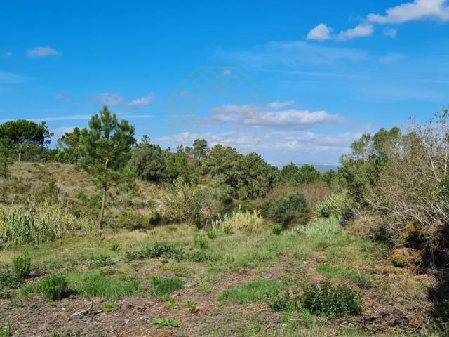 Terrenos Sesimbra Sesimbra DS102079243