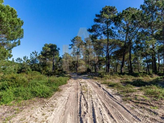 Terrenos Sesimbra Sesimbra DS102187824