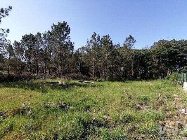 Terrenos Sesimbra Setubal DLS100057650