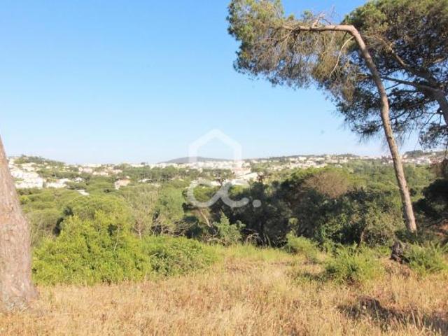 Terrenos Sesimbra Setúbal DS79136775