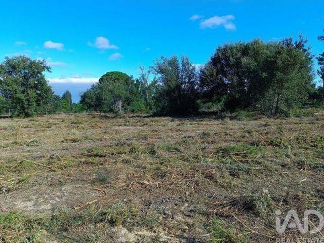 Terrenos Sesimbra Setubal DS96681674